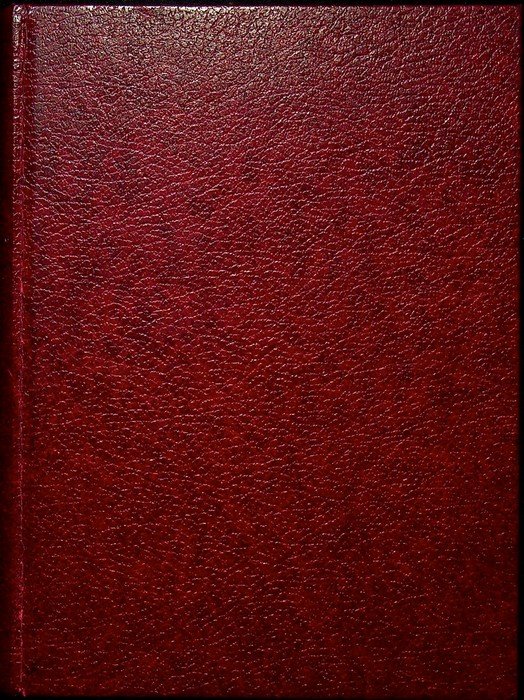 Saggi sull'idealismo magico. | Immagine principale