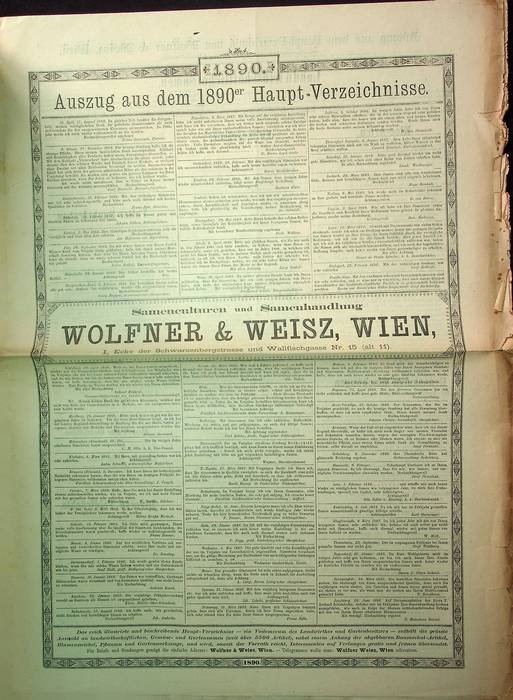 Samenculturen und Samenhandlung: Wolfner & Weisz, Wien: Auszug aus dem …