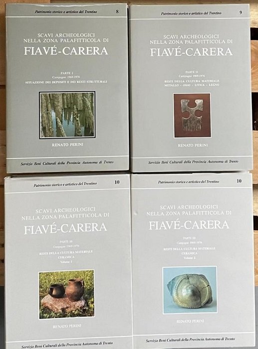 Scavi archeologici nella zona palafitticola di FiavÃ©-Carera: Parte I: Campagne …