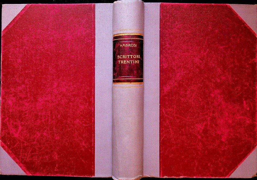 Scrittori ed artisti trentini.