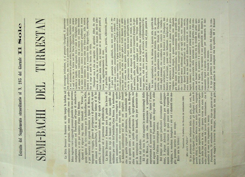 Semi-bachi del Turkestan. | Immagine principale