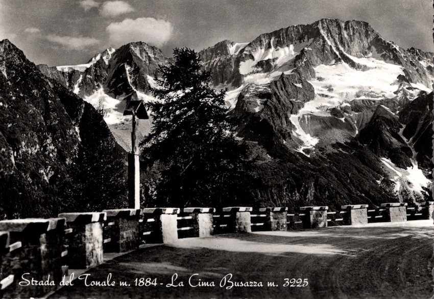 Strada del Tonale m. 1884 - La cima Busazza m. …