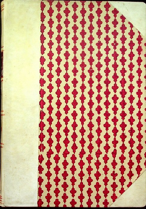 Studi trentini di scienze naturali: ANNO X: 1929.