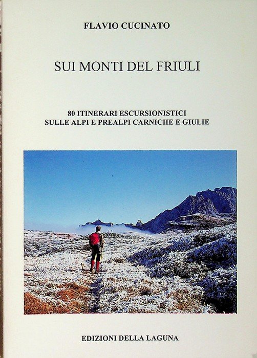 Sui monti del Friuli: 80 itinerari escursionistici sulle Alpi e … | Immagine principale