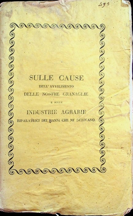 Sulle cause dell'avvilimento delle nostre granaglie e sulle industrie agrarie …