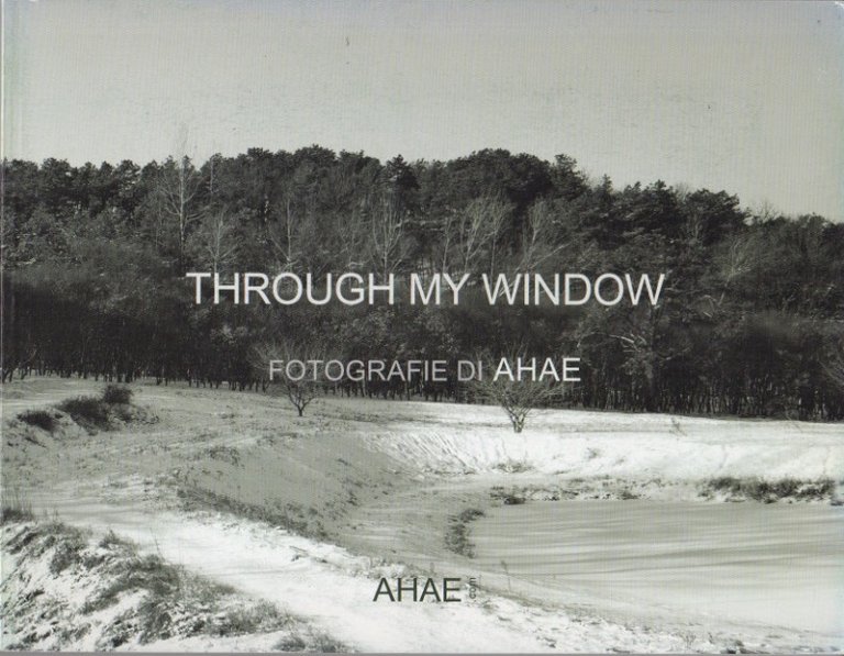 Through my window: fotografie di AHAE.