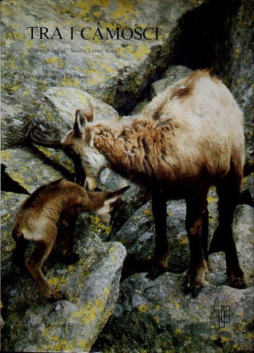 Tra i camosci.