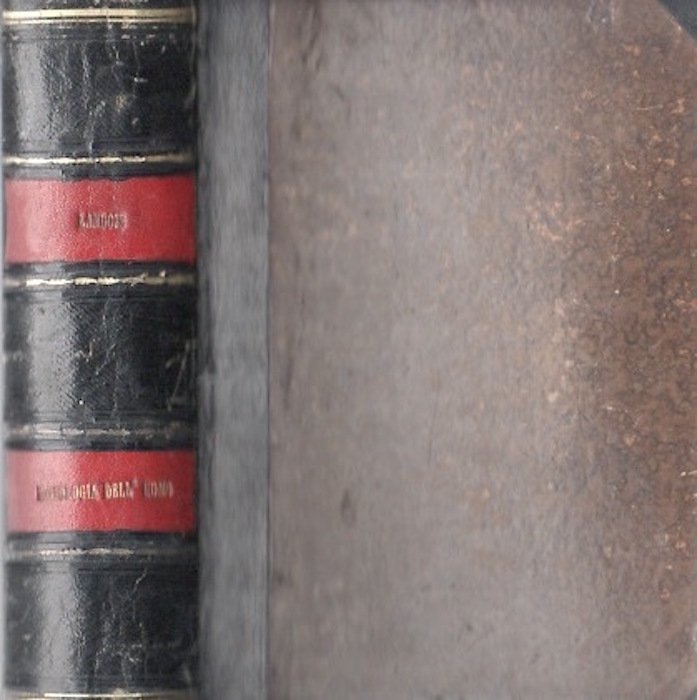 Trattato di fisiologia dell'uomo con istologia, anatomia microscopica e considerazioni …