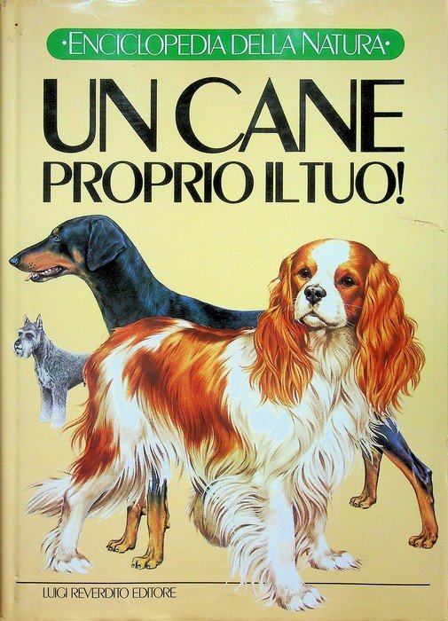 Un cane proprio il tuo.
