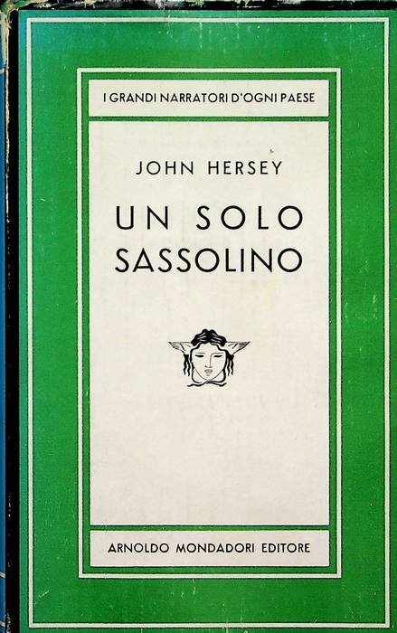 Un solo sassolino: romanzo.