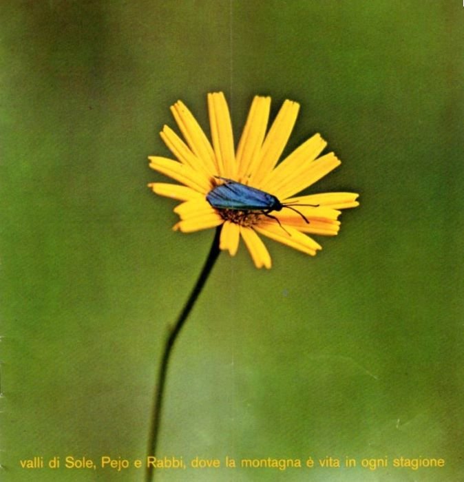 Valli di Sole, Pejo e Rabbi, dove la montagna Ã¨ …