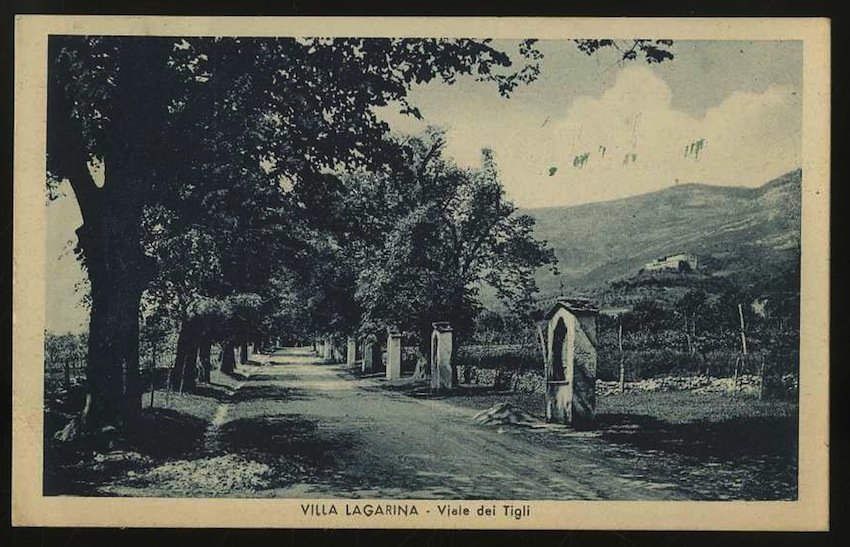 Villa Lagarina. Viale dei Tigli.