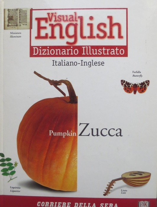 Visual English: dizionario illustrato italiano-inglese, inglese-italiano.