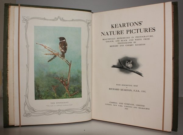 Kearton's Nature Pictures beautifully reproduced in Photogravure, Colour and Black …