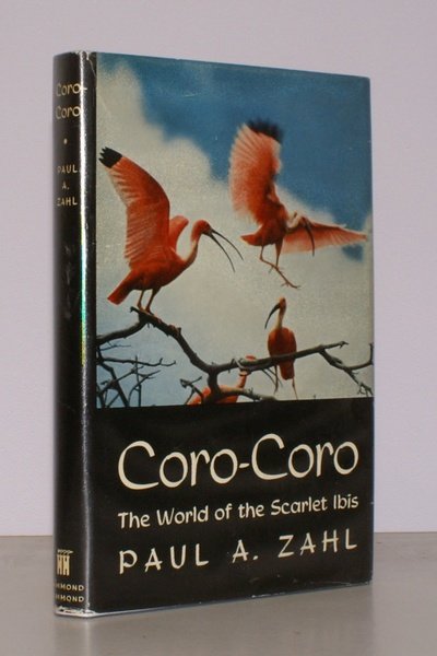 Coro-Coro. The World of the Scarlet Ibis. [First UK Edition].