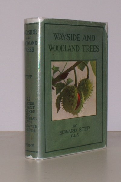 Wayside and Woodland Trees. A Guide to the British Sylva. … | Immagine principale