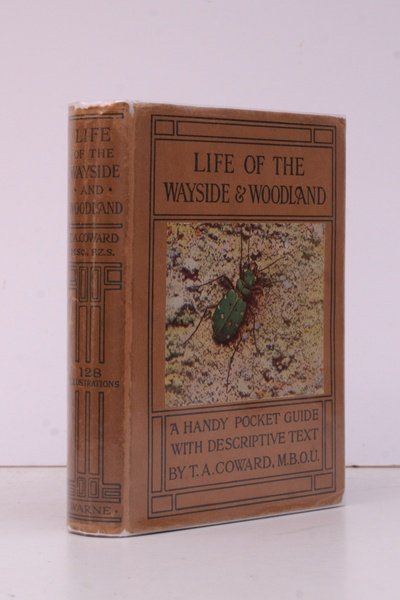 Life of the Wayside and Woodland. When, Where and What …
