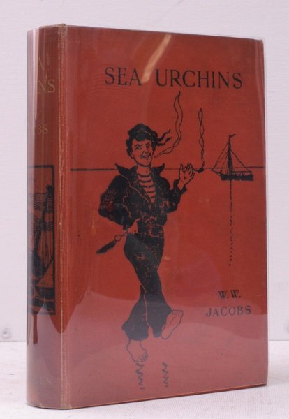 Sea Urchins. Sixteenth Edition.