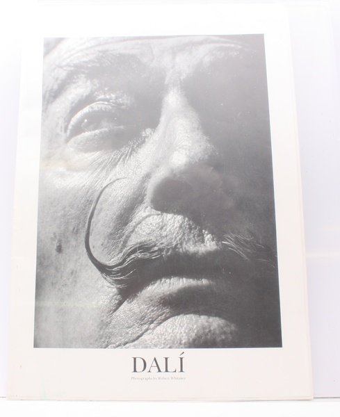 Dali. Photographs by Robert Whitaker. FIRST PUBLICATION | Immagine principale