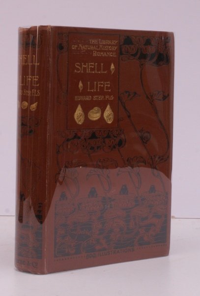 Shell Life. An Introduction to the British Mollusca. REMARKABLY BRIGHT, …