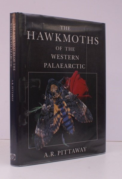 The Hawk Moths of the Western Palaearctic. NEAR FINE COPY …