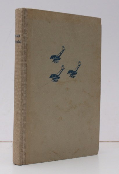 Malaula!, Der Kampfruf meiner Staffel. Vom Dachdeckerlehrling zum Pour le …