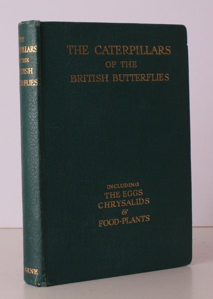 The Caterpillars of the British Butterflies including the Eggs, Chrysalids …