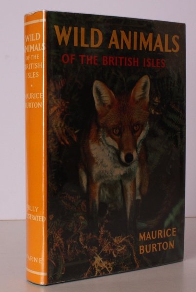 Wild Animals of the British Isles. [First Large Format Edition.] …