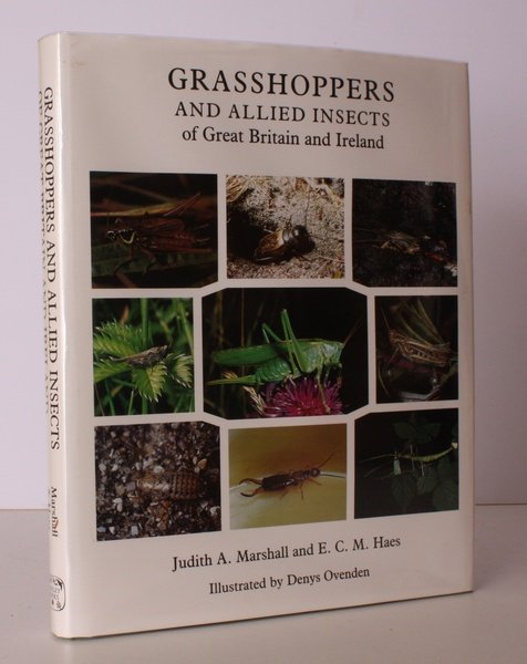 Grasshoppers and Allied Insects of Great Britain and Ireland. With …