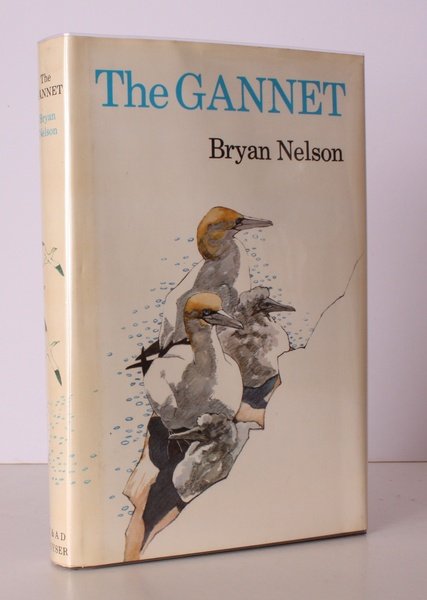 The Gannet. Illustrations by John Busby. NEAR FINE COPY IN …