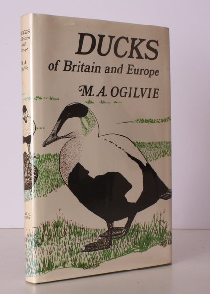 Ducks of Britain and Europe. Illustrated by Carol Ogilvie. NEAR …