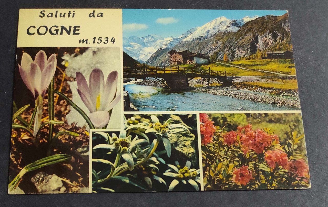 Cartolina Saluti da Cogne | Immagine principale