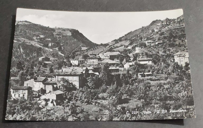 Cartolina Vetto - Panorama