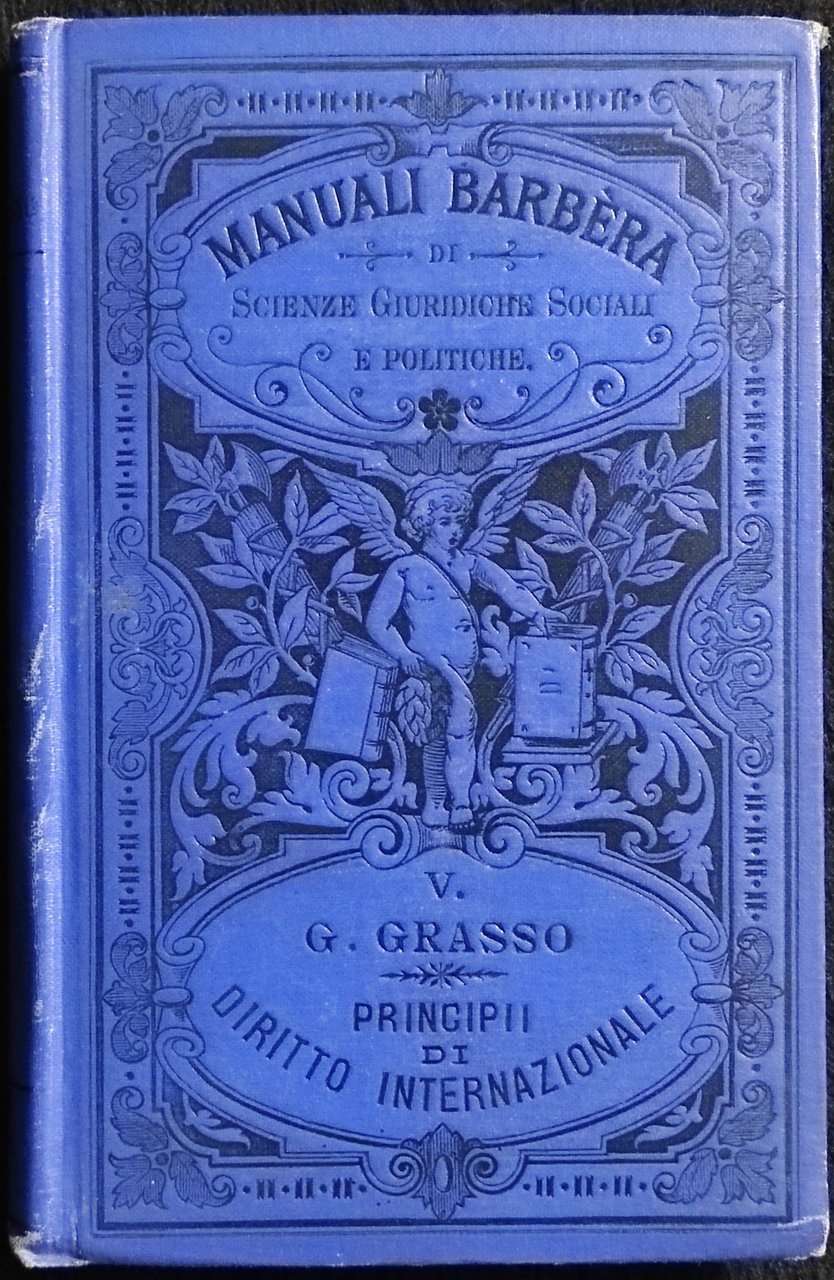 Principii di Diritto Internazionale Pubblico e Privato | Immagine principale