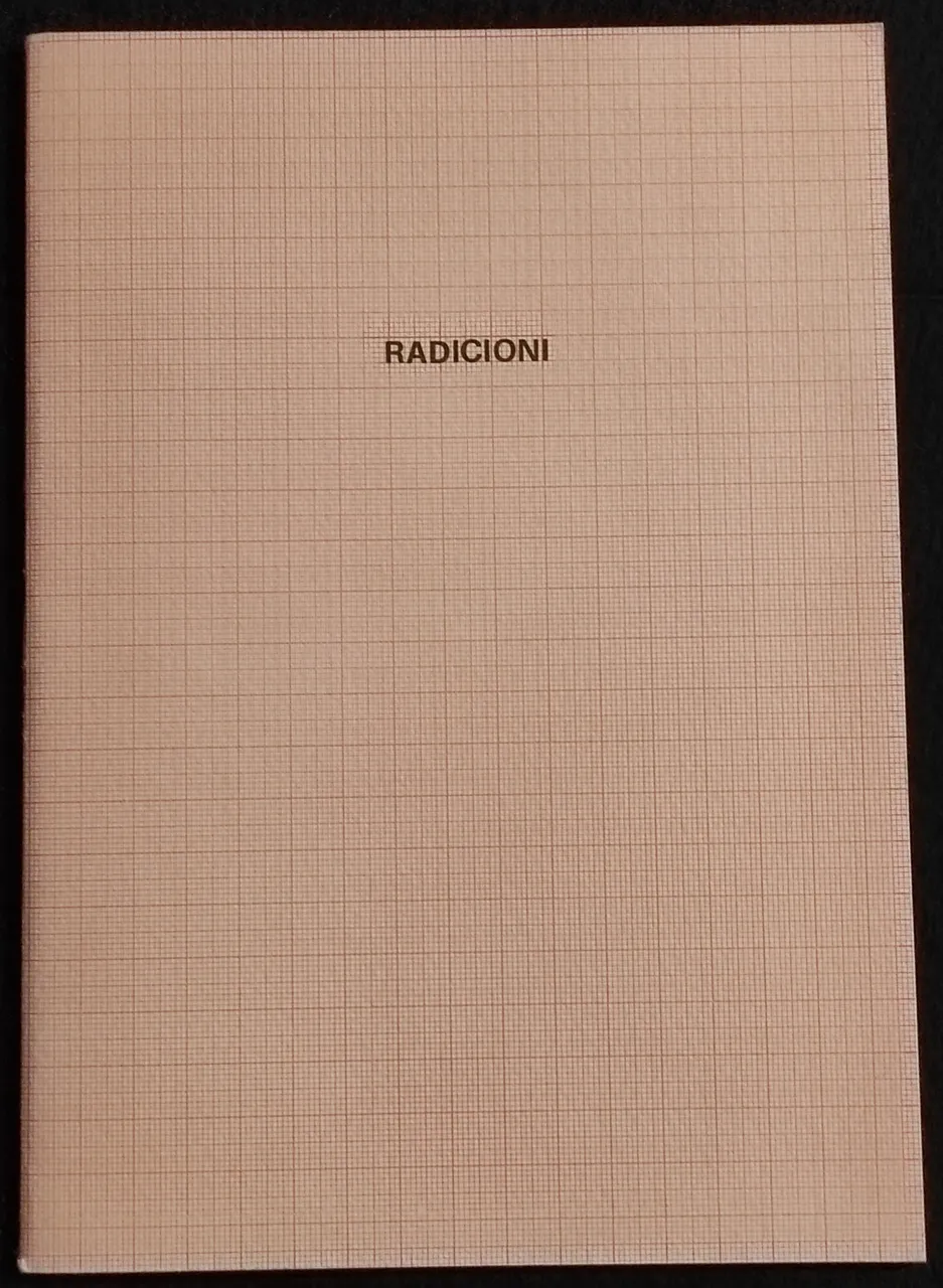 Radicioni - Micrologia Quadri Postumi ed Altro | Immagine principale