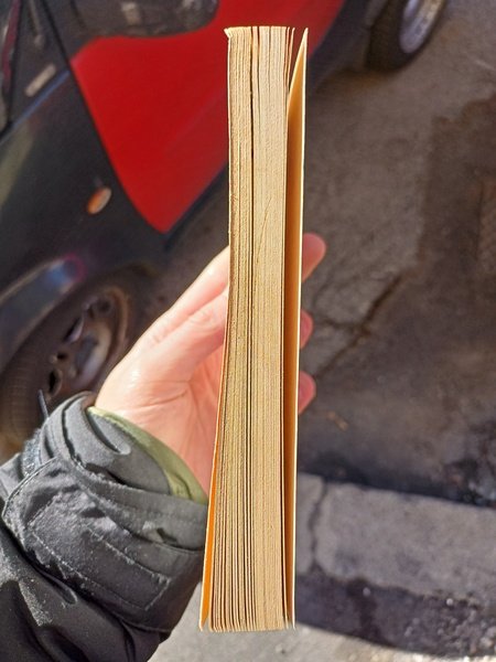 Il delitto di Fausto Diamante