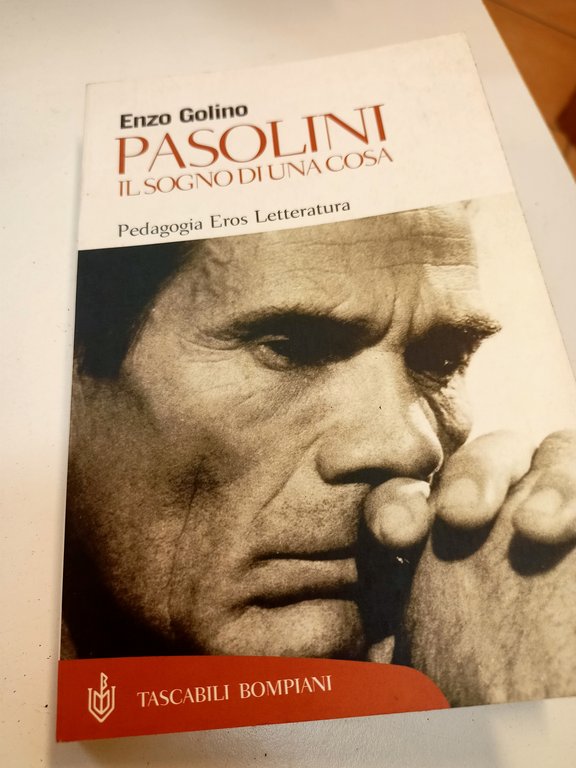 Pasolini Il sogno di una cosa