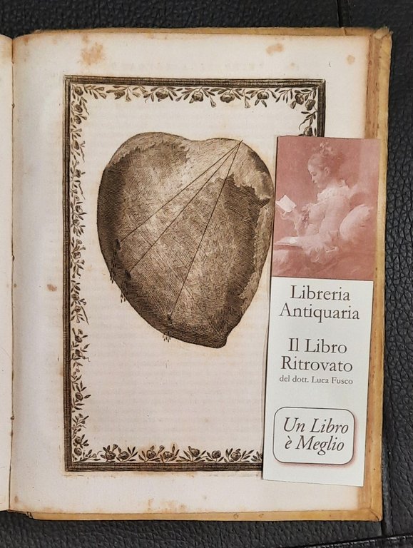 Vita della Serva di Dio Suor Maria-Rosa Giannini religiosa professa …
