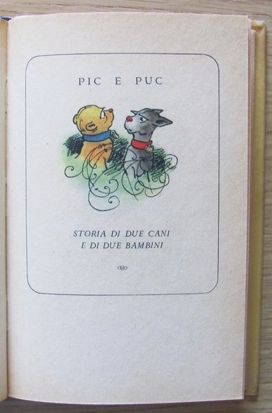 PIC E PUC