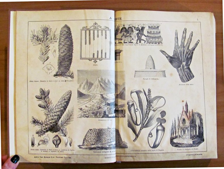 2 Volumi Completo - DIZIONARIO ENCICLOPEDICO ILLUSTRATO - SOCIETA' PER …