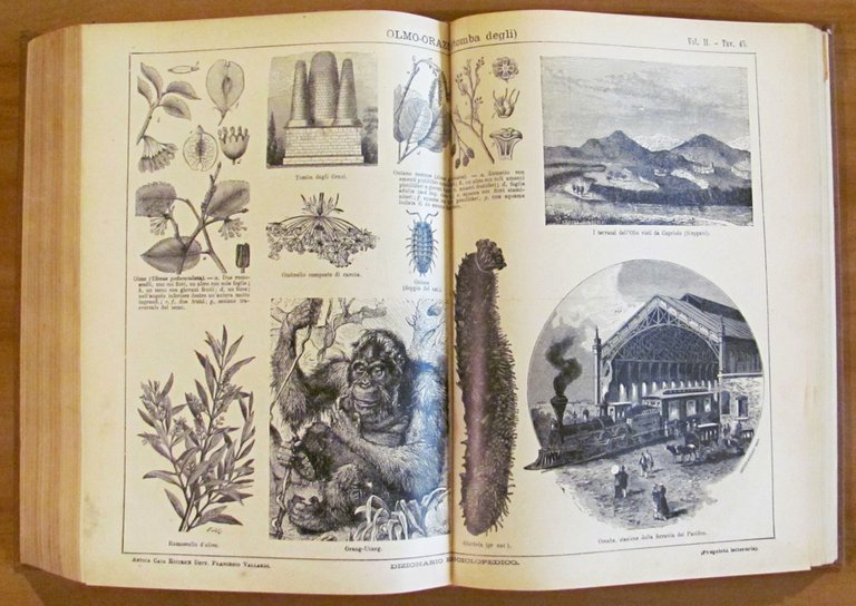 2 Volumi Completo - DIZIONARIO ENCICLOPEDICO ILLUSTRATO - SOCIETA' PER …
