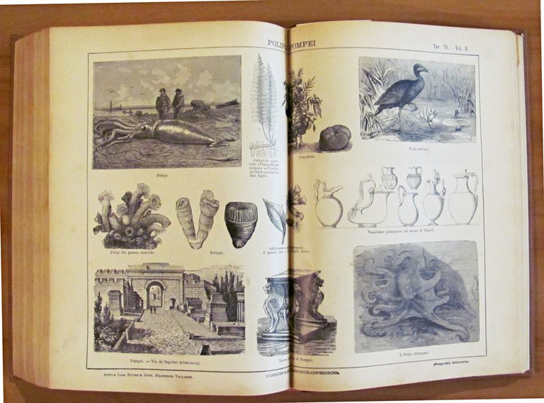 2 Volumi Completo - DIZIONARIO ENCICLOPEDICO ILLUSTRATO - SOCIETA' PER …