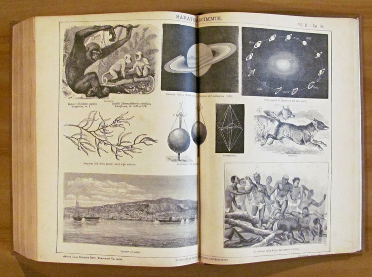 2 Volumi Completo - DIZIONARIO ENCICLOPEDICO ILLUSTRATO - SOCIETA' PER …