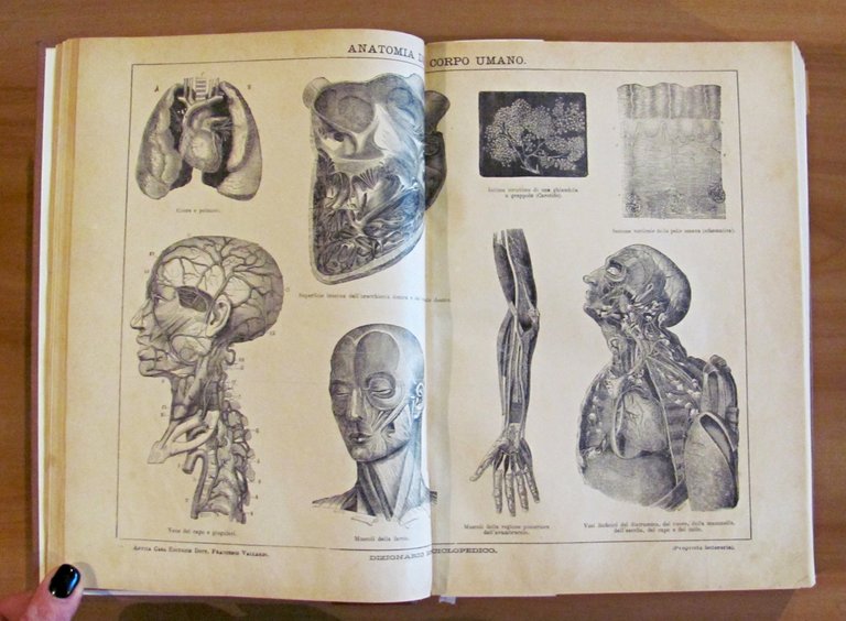 2 Volumi Completo - DIZIONARIO ENCICLOPEDICO ILLUSTRATO - SOCIETA' PER …