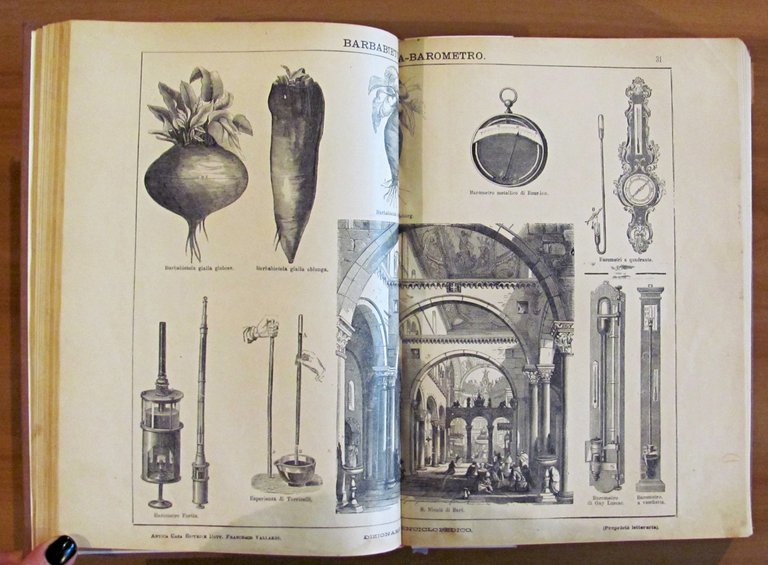 2 Volumi Completo - DIZIONARIO ENCICLOPEDICO ILLUSTRATO - SOCIETA' PER …