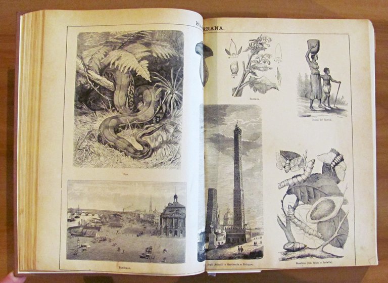 2 Volumi Completo - DIZIONARIO ENCICLOPEDICO ILLUSTRATO - SOCIETA' PER …