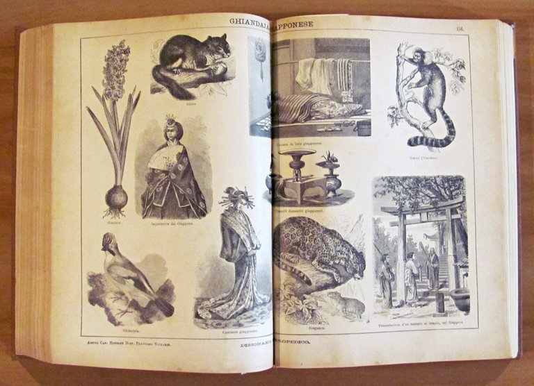 2 Volumi Completo - DIZIONARIO ENCICLOPEDICO ILLUSTRATO - SOCIETA' PER …