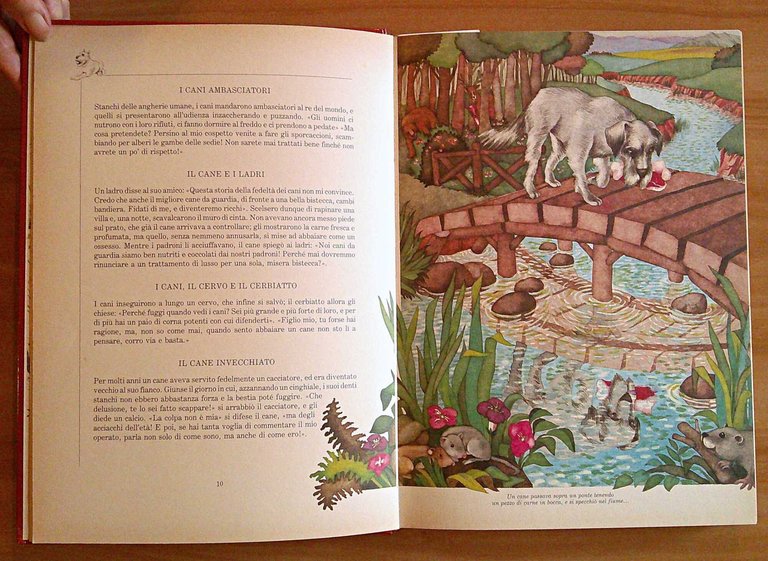 365 FAVOLE DI ANIMALI - Da Esopo, Fedro, La Fontaine …