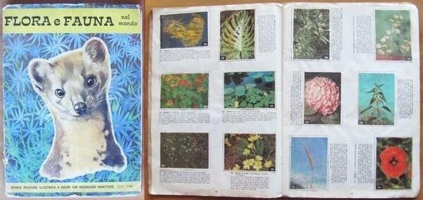 Album Flora E Fauna Nel Mondo Serie Prima. Ed. P.E.I. …