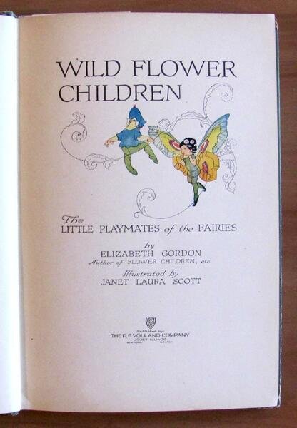 WILD FLOWER CHILDREN The little playmates of the Fairies